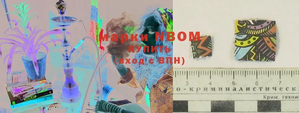 PSILOCYBIN Балабаново