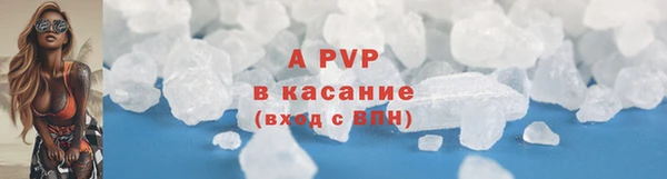 PSILOCYBIN Балабаново