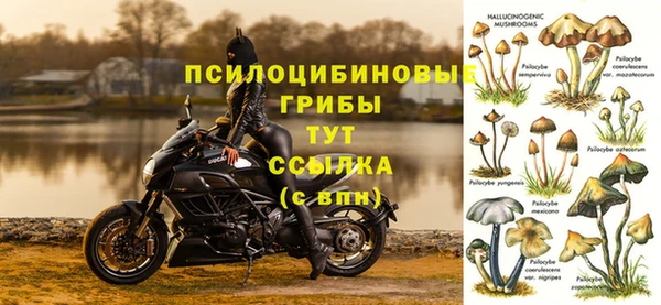 винт Баксан