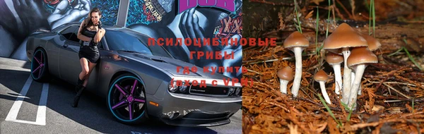 винт Баксан
