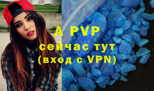 PSILOCYBIN Балабаново