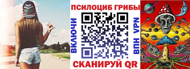 Псилоцибиновые грибы мицелий  Пересвет 